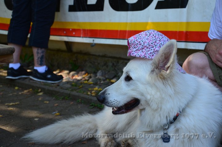 MCE Sommertreffen 2014 - 055.jpg